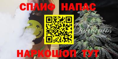 стаф Нарткала